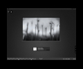 Simple Dark
